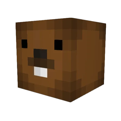 tristanotto Minecraft avatar head, 3D render