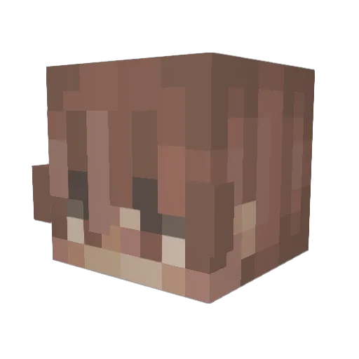 tristi2004 Minecraft avatar head, 3D render