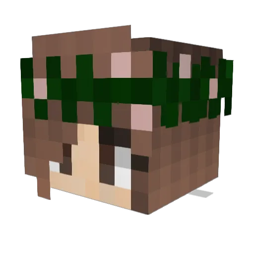 trkruemmel Minecraft avatar head, 3D render