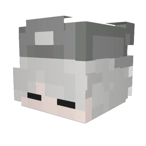 trkswtby Minecraft avatar head, 3D render