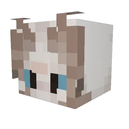 troadnottroy Minecraft avatar head, 3D render