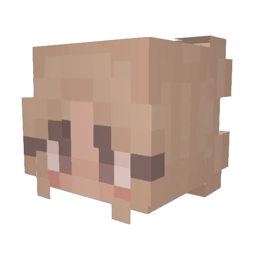 troien Minecraft avatar head, 3D render