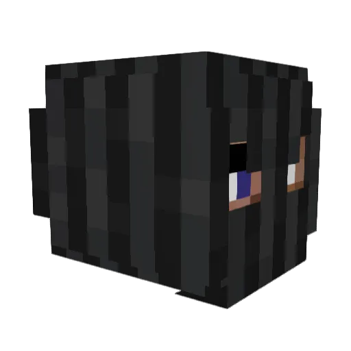 trojanowski111 Minecraft avatar head, 3D render