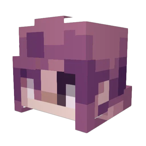 trolans Minecraft avatar head, 3D render