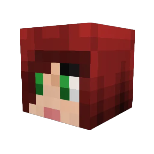 troll63 Minecraft avatar head, 3D render