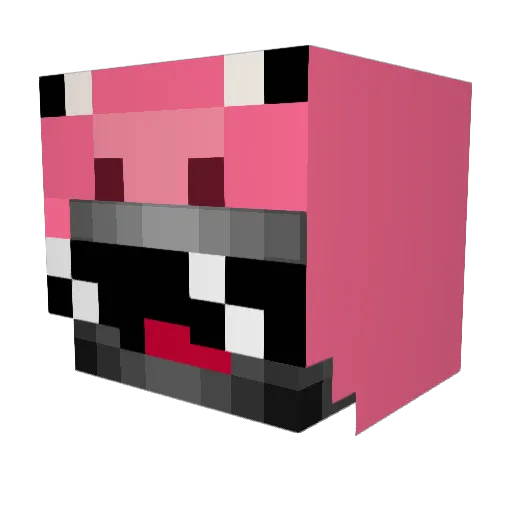 trollboy1121 Minecraft avatar head, 3D render