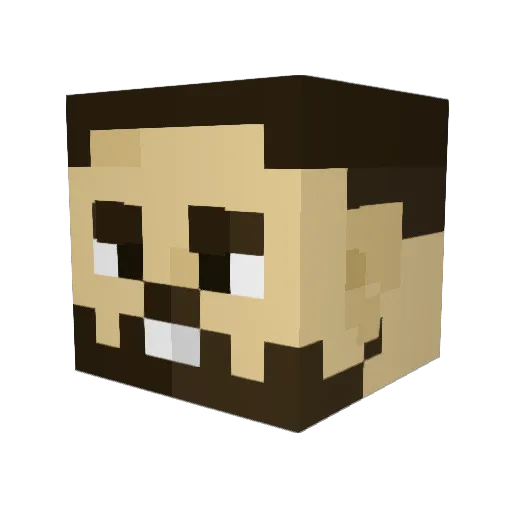 trollday21 Minecraft avatar head, 3D render