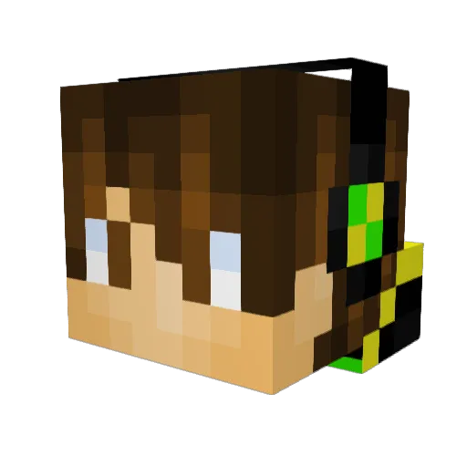 trollerraptor Minecraft avatar head, 3D render