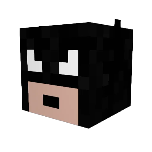 trolololloll Minecraft avatar head, 3D render