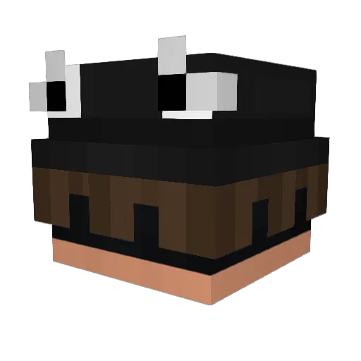tron1x_ Minecraft avatar head, 3D render