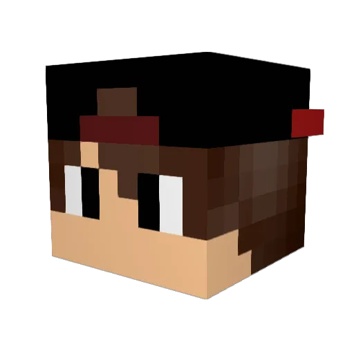 tronas123 Minecraft avatar head, 3D render