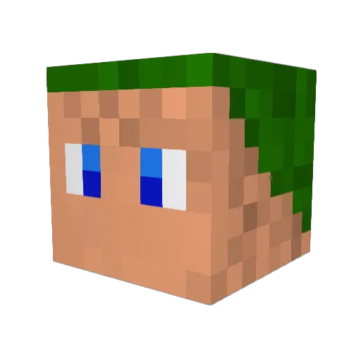 tronotrond Minecraft avatar head, 3D render