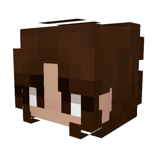 tronwoo Minecraft avatar head, 3D render