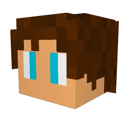troofy Minecraft avatar head, 3D render