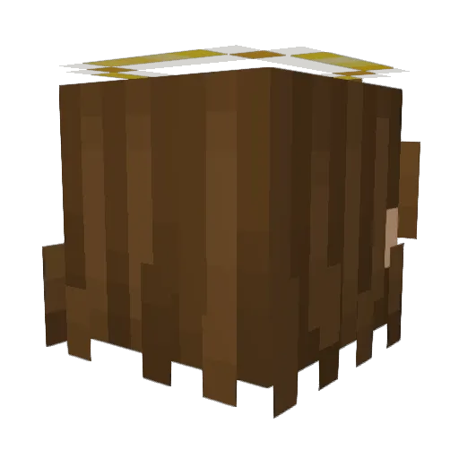 troopekyt Minecraft avatar head, 3D render