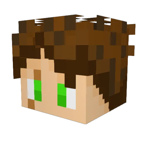 tropa13 Minecraft avatar head, 3D render