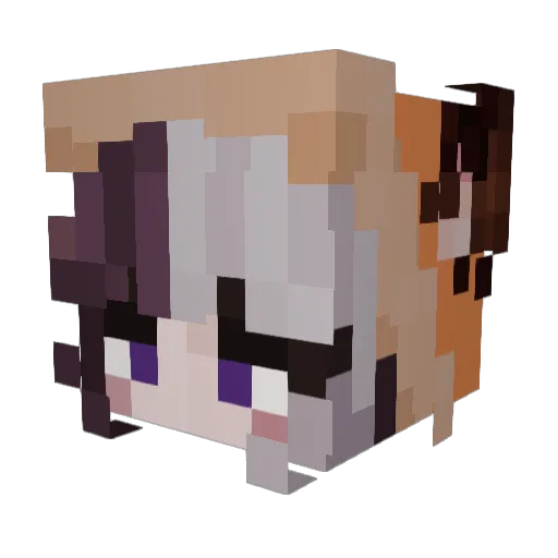 tropicalgoose Minecraft avatar head, 3D render