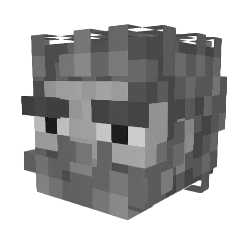 tropicson Minecraft avatar head, 3D render