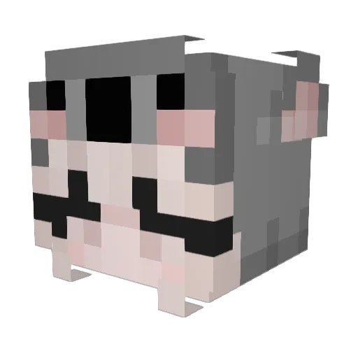 troskliwa Minecraft avatar head, 3D render