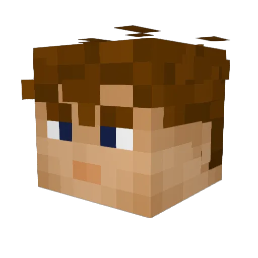 troubleOG Minecraft avatar head, 3D render