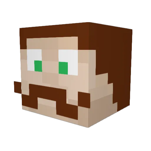 troubledTmesis Minecraft avatar head, 3D render