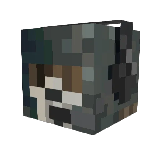 troubleismyname Minecraft avatar head, 3D render