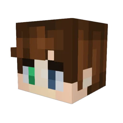troy131313 Minecraft avatar head, 3D render