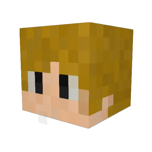 troy5009 Minecraft avatar head, 3D render