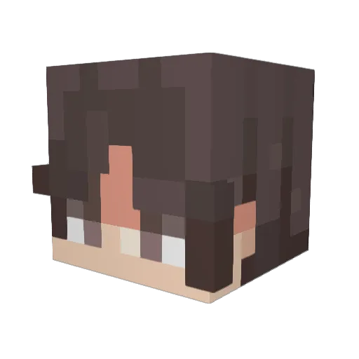 troyboy27 Minecraft avatar head, 3D render