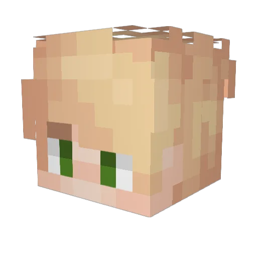 troyzilla146 Minecraft avatar head, 3D render