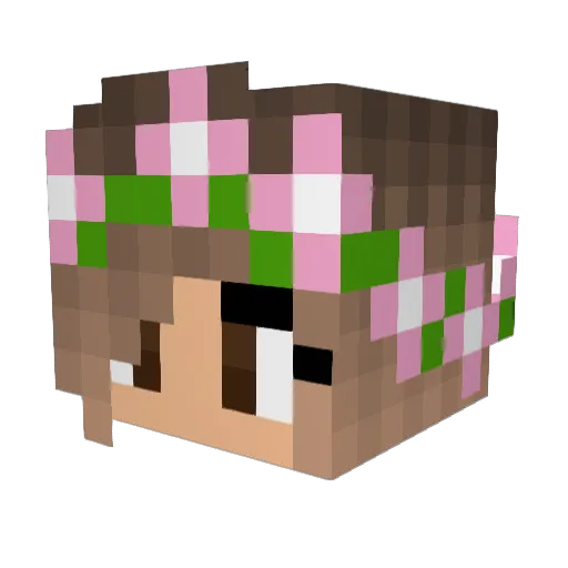 trqcksuit Minecraft avatar head, 3D render