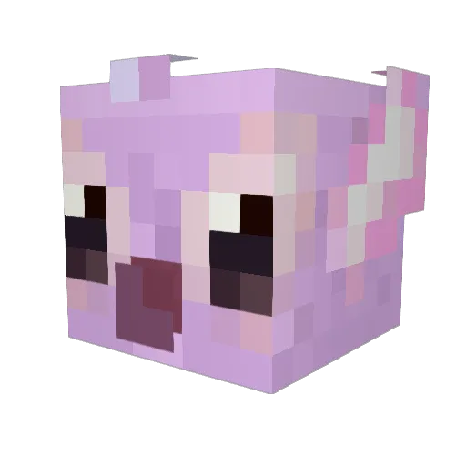 trql Minecraft avatar head, 3D render