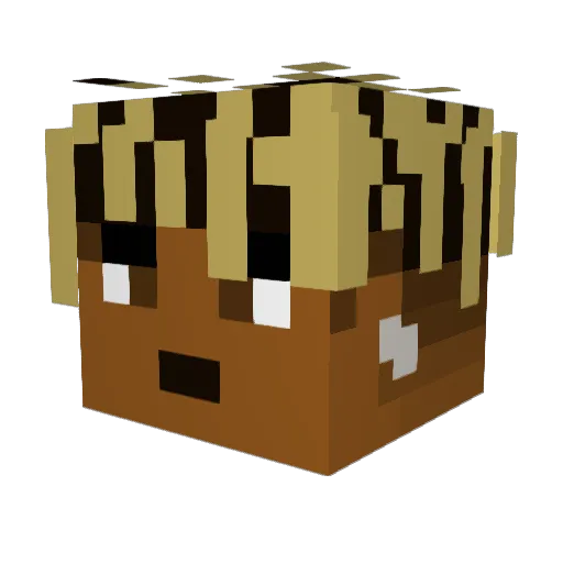 trqvisscott Minecraft avatar head, 3D render