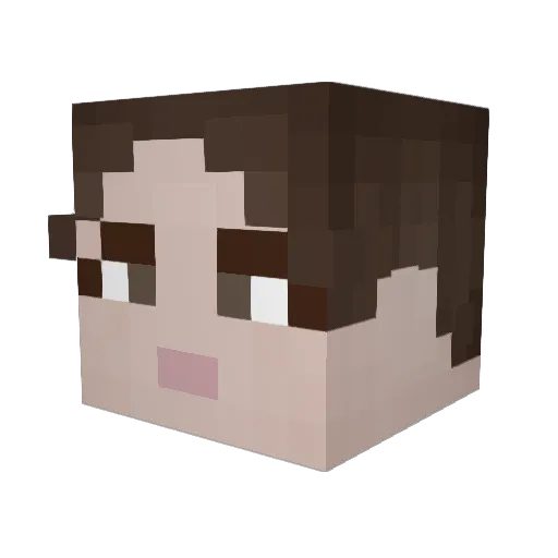 trstnboss Minecraft avatar head, 3D render