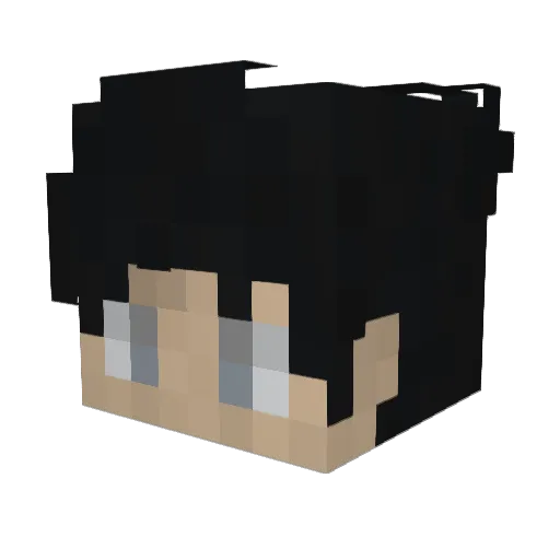 truceris Minecraft avatar head, 3D render