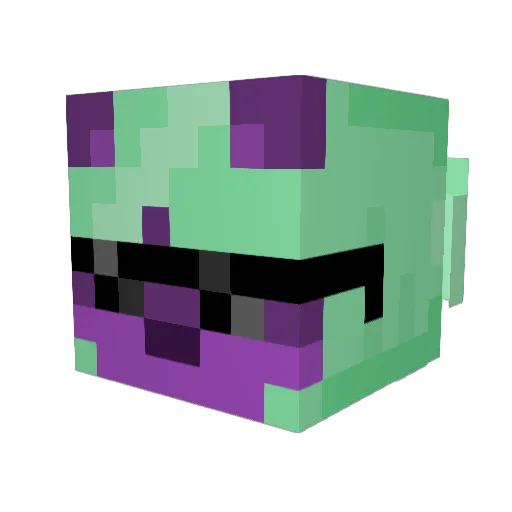 trueWitchwaits Minecraft avatar head, 3D render