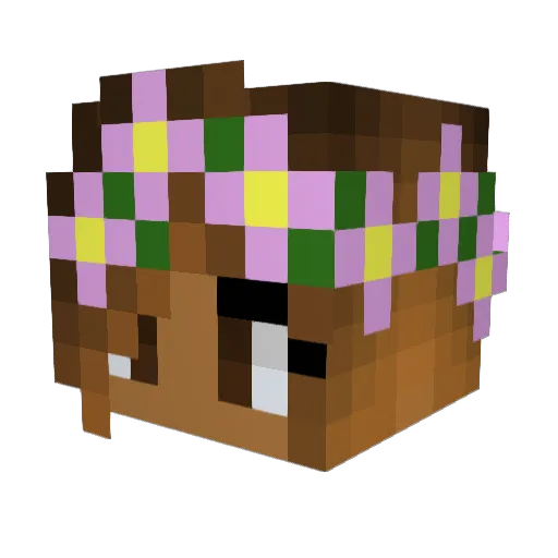 truechocolate Minecraft avatar head, 3D render