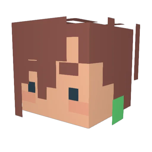 truffleluffle Minecraft avatar head, 3D render