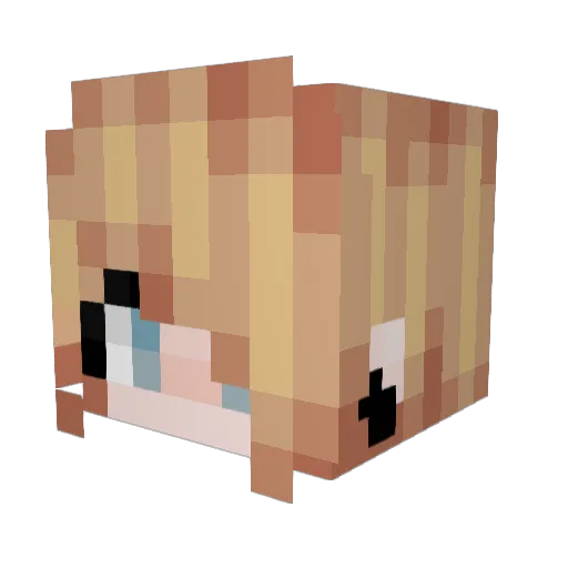 truly0utrageous Minecraft avatar head, 3D render