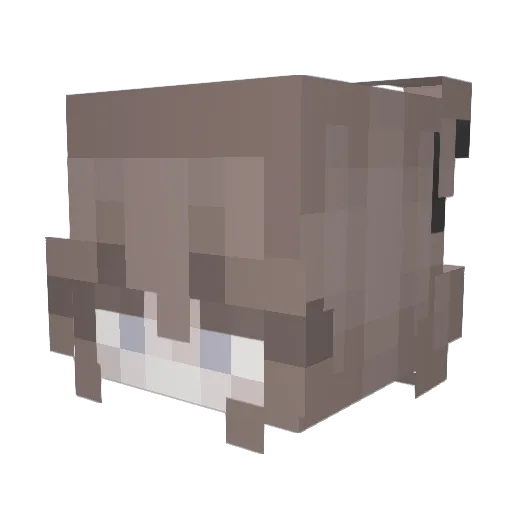 trumpetplayer02 Minecraft avatar head, 3D render