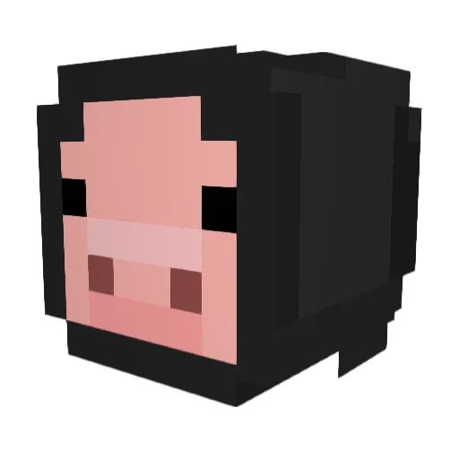 trussing_ Minecraft avatar head, 3D render