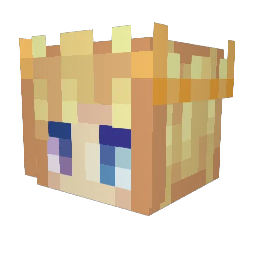 truthfulSausage Minecraft avatar head, 3D render