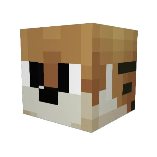 truwater Minecraft avatar head, 3D render
