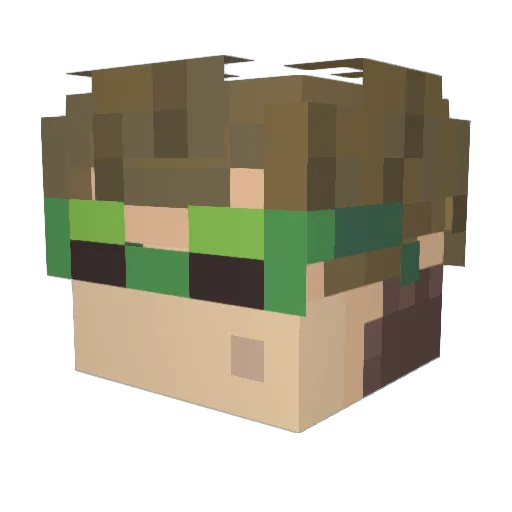 trvr666 Minecraft avatar head, 3D render