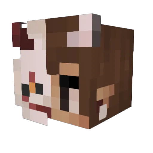trvstw_rthy Minecraft avatar head, 3D render