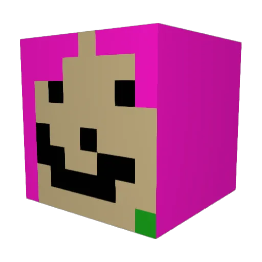 trxpicalcamryn Minecraft avatar head, 3D render