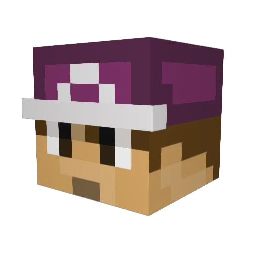 tryggvist Minecraft avatar head, 3D render