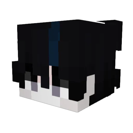 trztanz Minecraft avatar head, 3D render