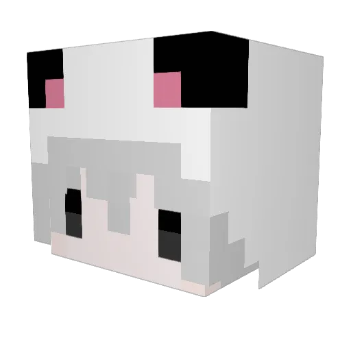ts_pmo_fr Minecraft avatar head, 3D render