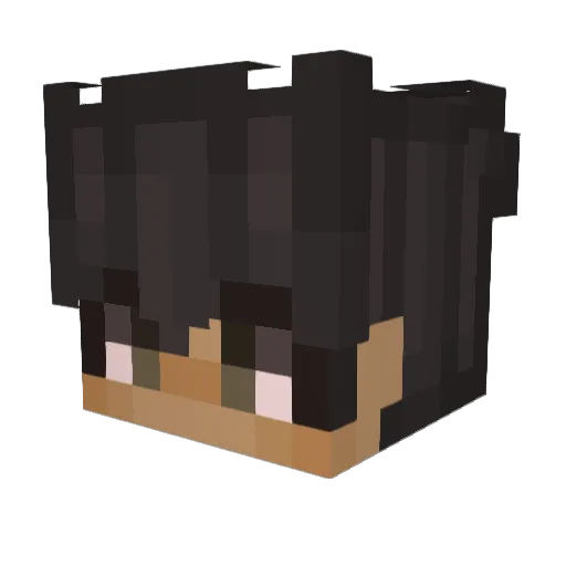 tsc4 Minecraft avatar head, 3D render